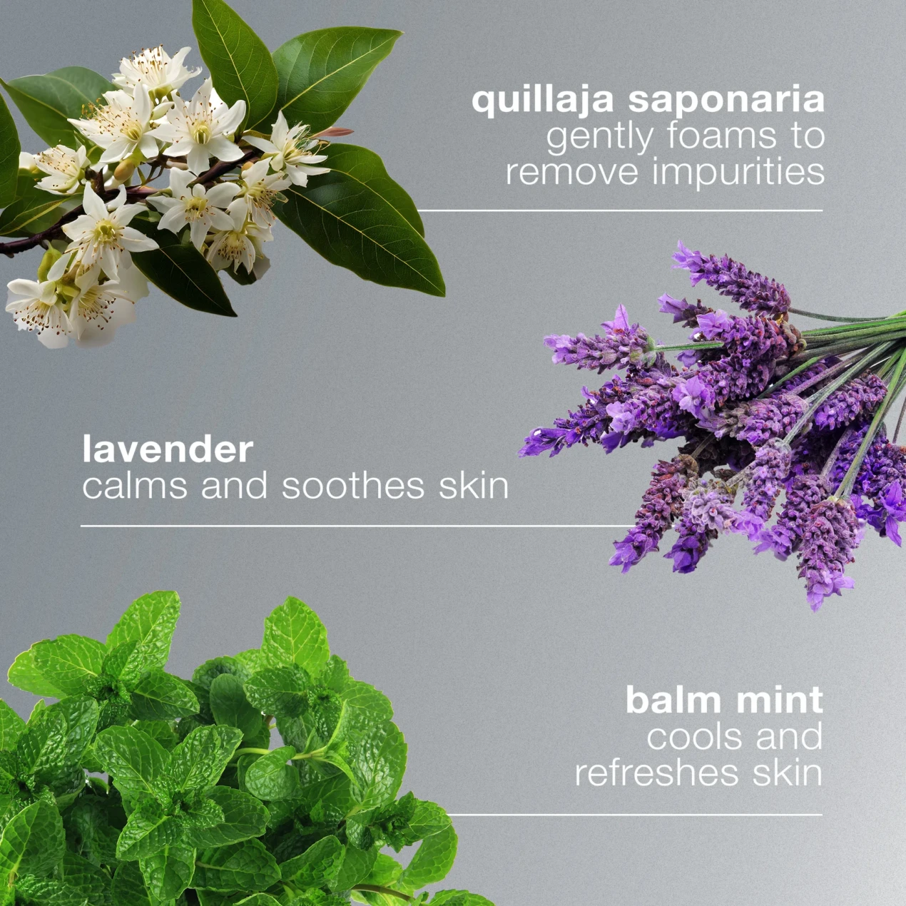 Dermalogica Special Cleansing Gel - Afbeelding 5