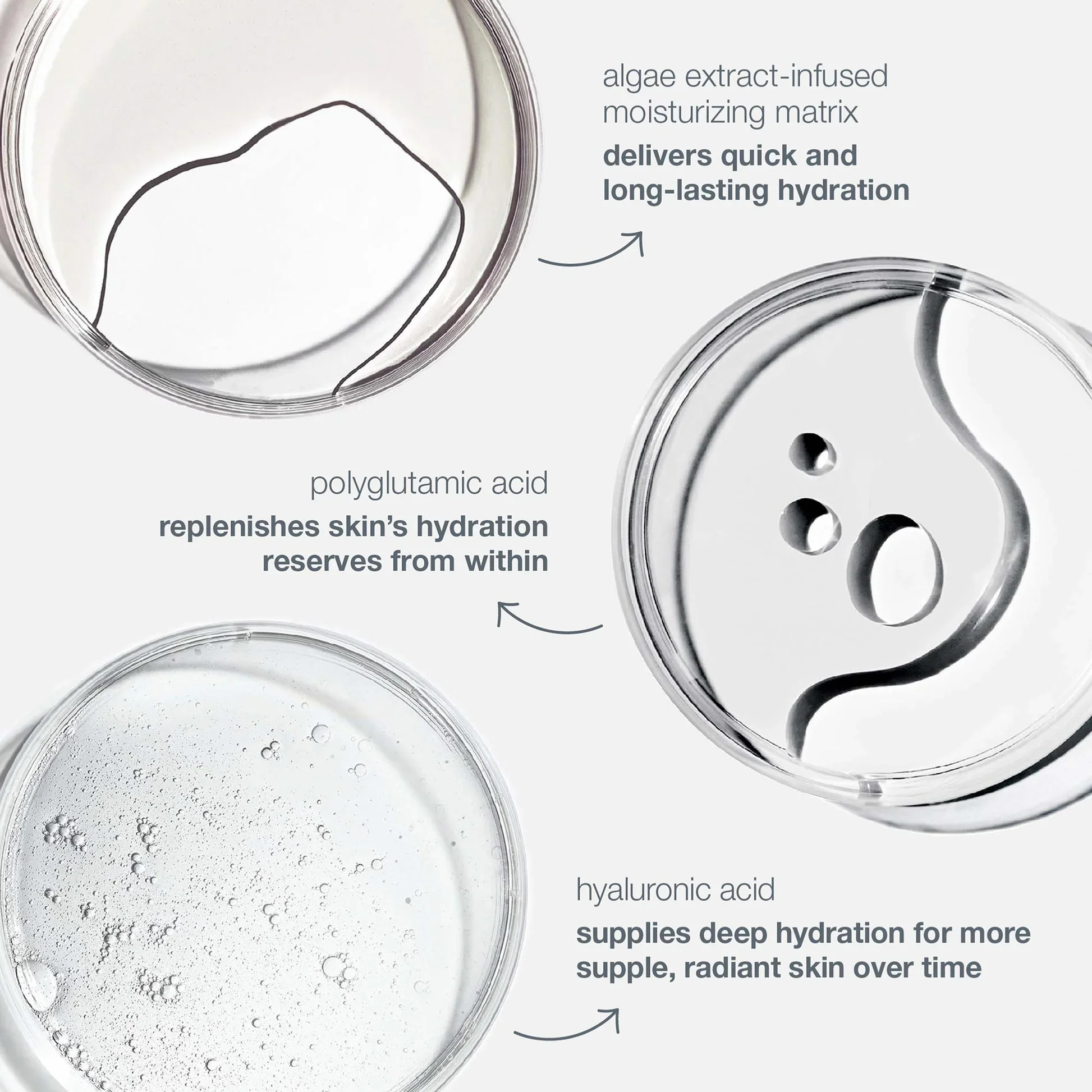 dermalogica circular hydration serum ingredients