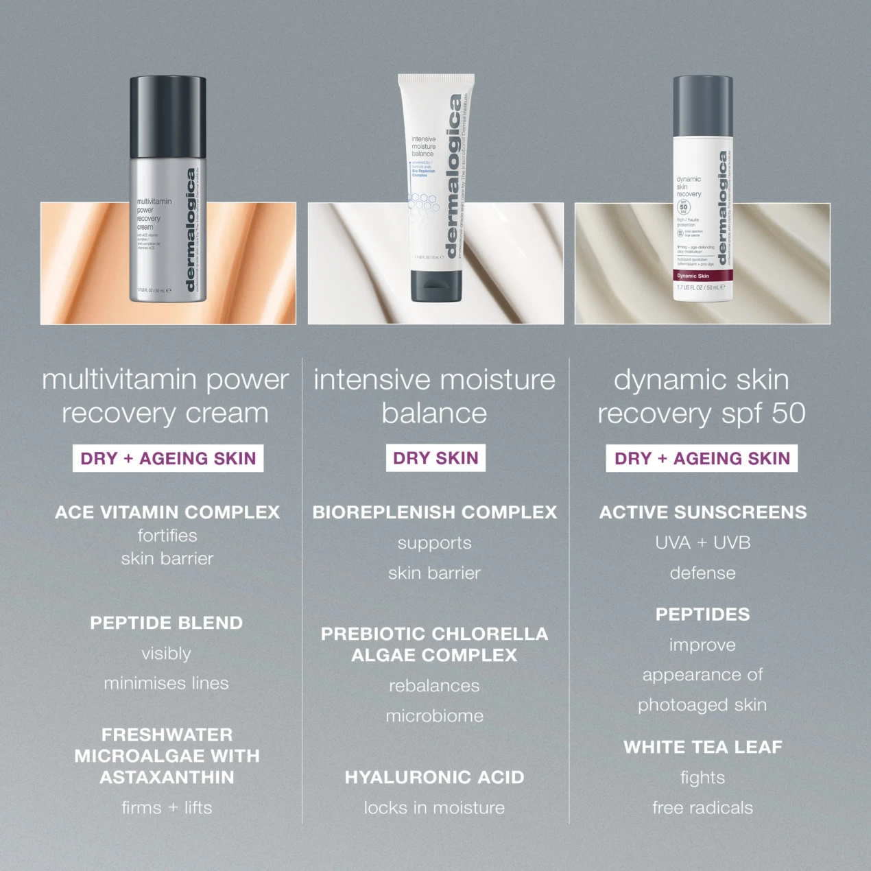 Dermalogica Multivitamin Power Recovery Cream - Bild 9